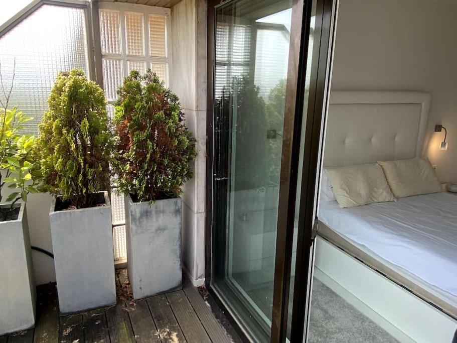 Appartement Avenida Vt - Vivienda Turistica à Saint-Sébastien Extérieur photo